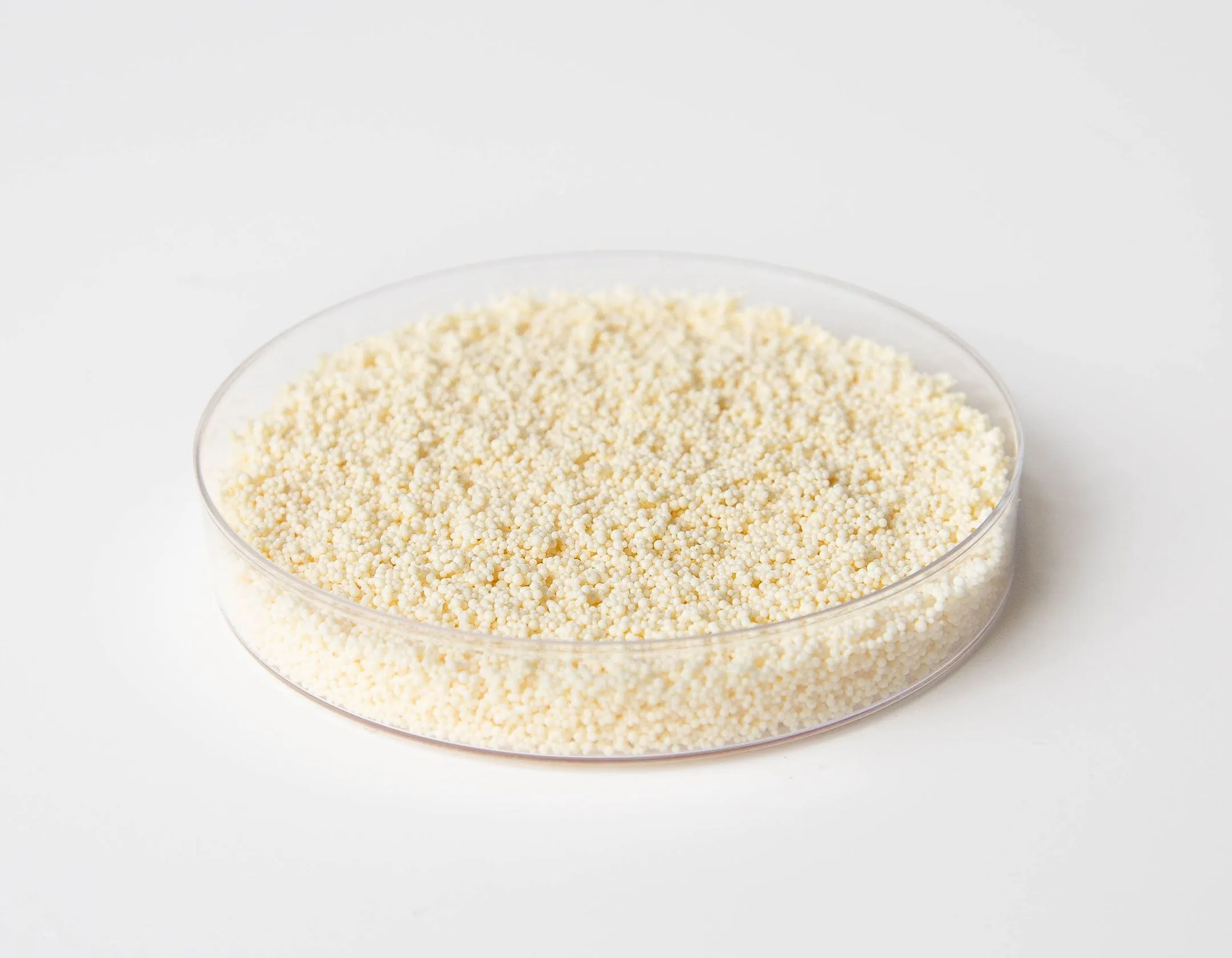 ResinTech-WACMP-2