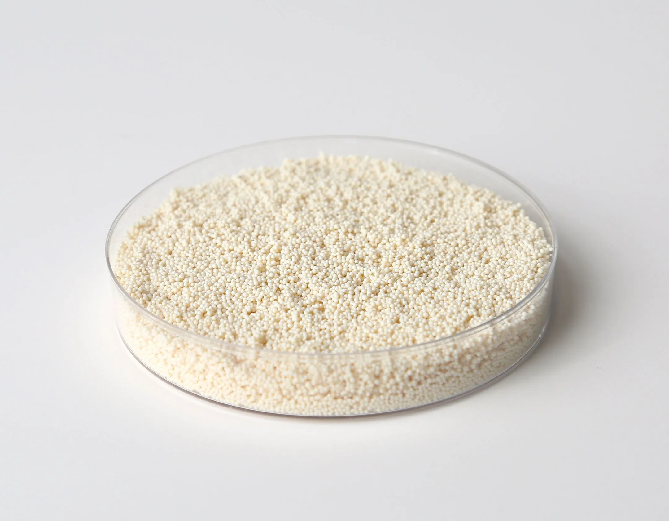 ResinTech-WBMP-2