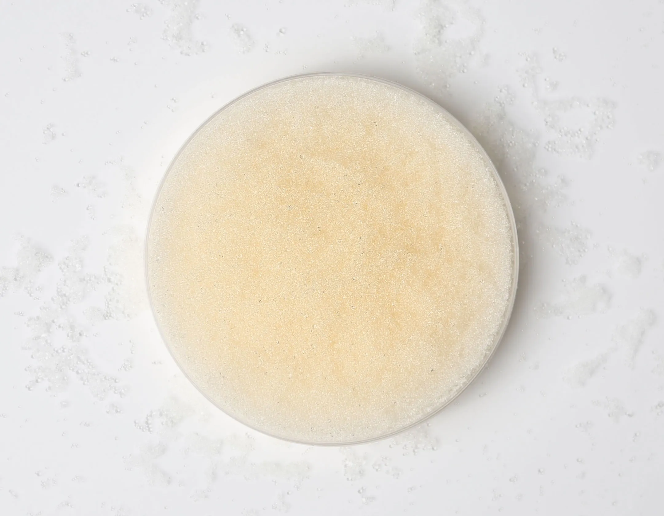 Resintech-SBG1-OH-LTOC-1
