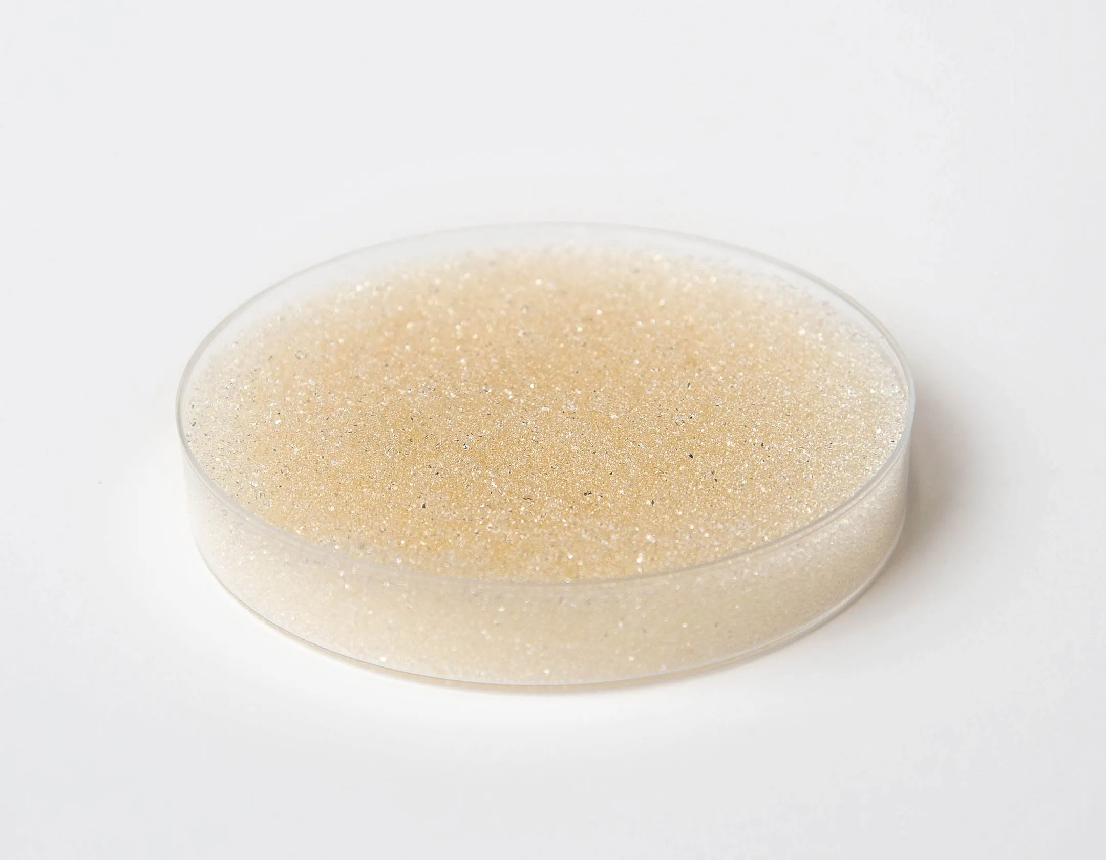 Resintech-SBG1-OH-SC-4