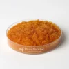 Resintech-SBG2-OH-4