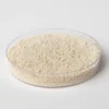 Resintech-SX-A45-CL-2
